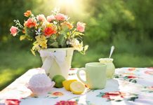 What is Life Efficiency? What is Life Efficiency? We now have a scientific overview of how an ecosystem works. Green plants share out the space available to the ecosystem among themselves and on professional lines.