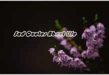 Sad Quotes About Life Sad Quotes about Life