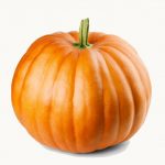 It is the best source of acid, potassium, and magnesium and contains 92% water and zero calories. Here are seven amazing benefits of eating pumpkin and drinking its juice: