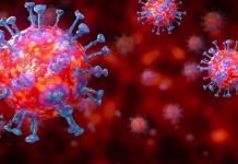 Coronavirus – Humanity, Hunger and our Responsibilities Coronavirus - Humanity, Hunger and our Responsibilities