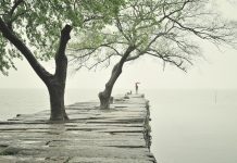 Why Rain Sounds are so Relaxing?