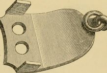 Horseshoes and Horseshoeing What are Horseshoes and Horseshoeing? The first step in understanding horseshoes and the process of shoeing is to be familiar with the anatomy and terminology of the foot.