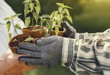 Giving Up What No Longer Works Giving Up What No Longer Works