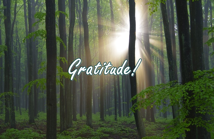 The path to gratitude can be found in a variety of places. The shadow in the corner shouldn't fool us into thinking that the shadow exists only because the room is illuminated.