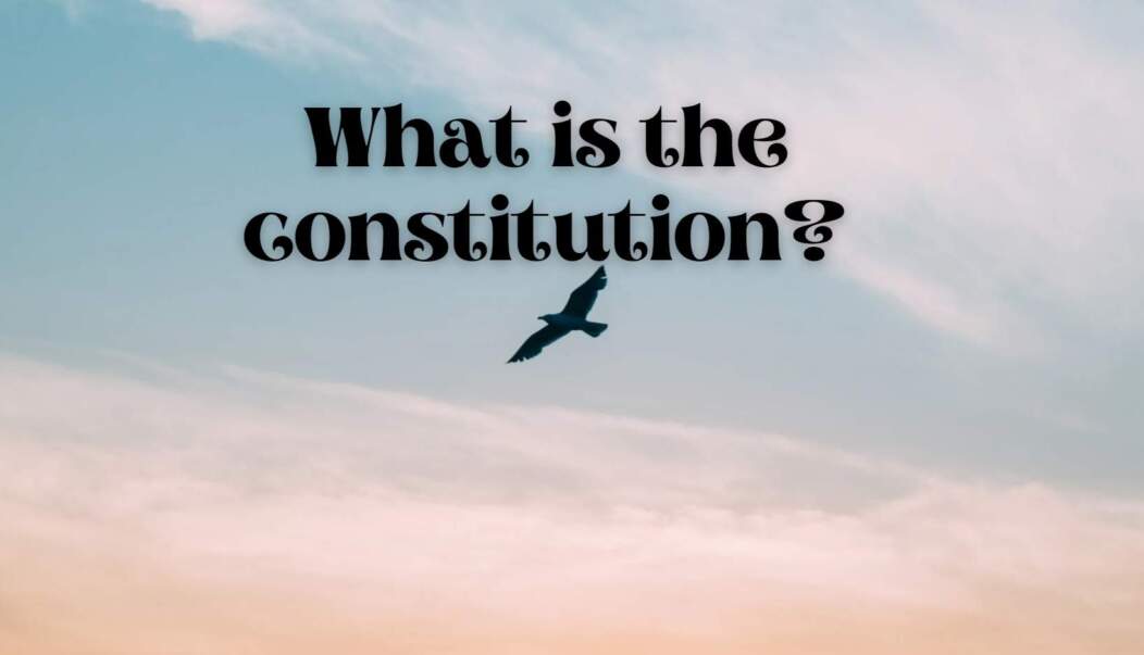 what is the constitution? The constitution of a thing, whether animate or inanimate, is its structural makeup—the nature and arrangement or pattern of the stuff of which it is composed.